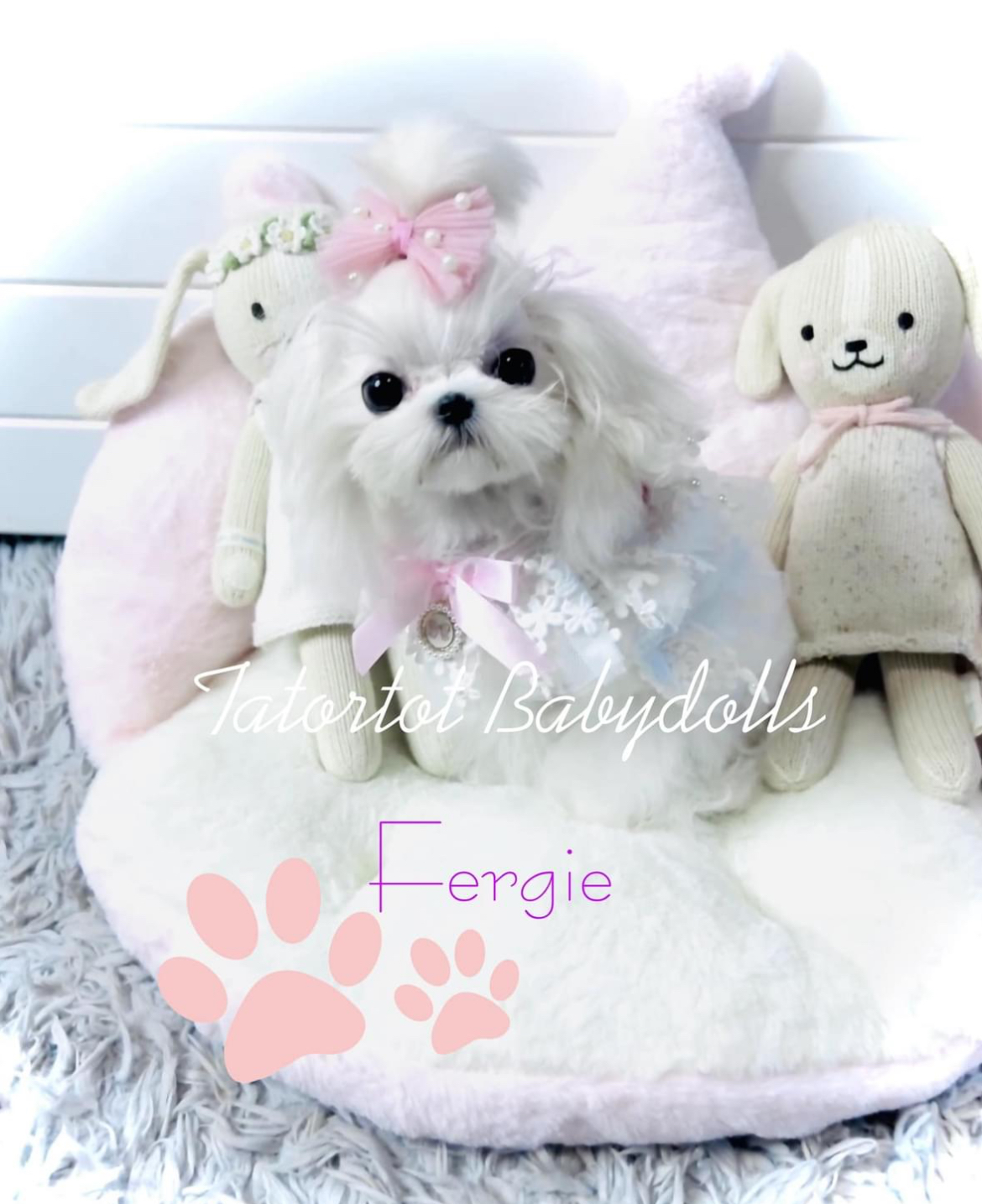 Princess Korean Babydoll Fergie (Ella/Sully)