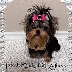 Tatortot Babydolls Princess Zahara